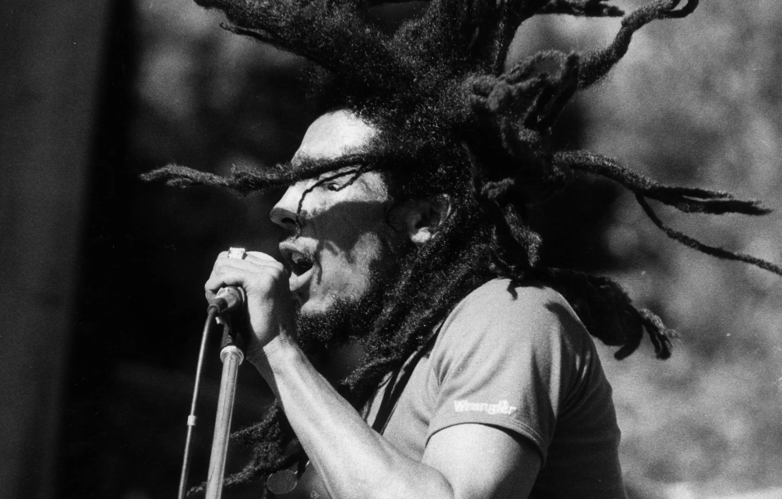 Picture of Bob Marley singing